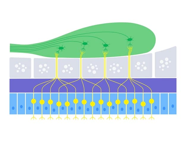 A schematic diagram illustrating the potential pathways of engineered nanoparticles from a remediation site into various environmental compartments like water bodies, soil, and living organisms.
