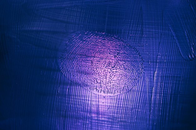 A digital fingerprint or complex algorithm network overlaid with global connections, symbolizing the intricate nature of sanctioned party screening and due diligence in international tech trade.