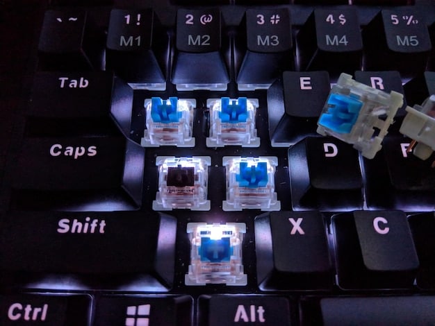 Custom Keyboard Switches: Linear, Tactile, and Clicky Options Explained
