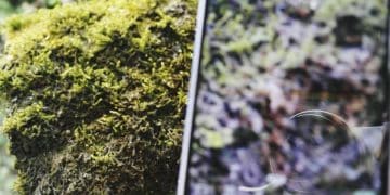 AMD FidelityFX CAS: Boosting Image Quality in Gaming - Cover Image