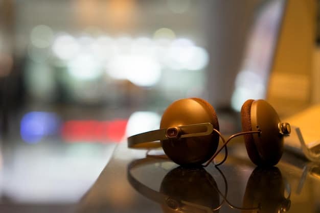 Noise-Canceling Headphones in 2025: A $350 Investment Review